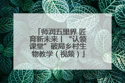 师润五里界 匠育新未来丨“认领课堂”破局乡村生物教学（视频）