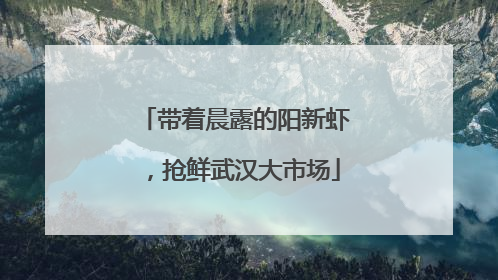 带着晨露的阳新虾，抢鲜武汉大市场