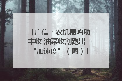 广信：农机轰鸣助丰收 油菜收割跑出“加速度”（图）