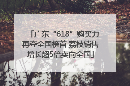 广东“618”购买力再夺全国榜首 荔枝销售增长超5倍卖向全国