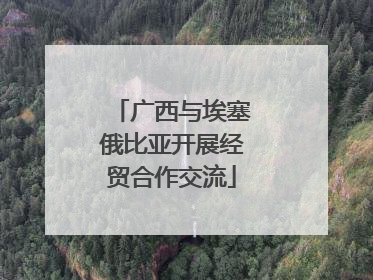 广西与埃塞俄比亚开展经贸合作交流