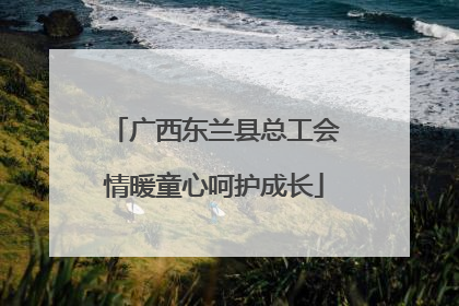 广西东兰县总工会情暖童心呵护成长