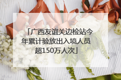 广西友谊关边检站今年累计验放出入境人员超150万人次