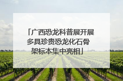 广西恐龙科普展开展 多具珍贵恐龙化石骨架标本集中亮相