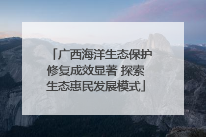 广西海洋生态保护修复成效显著 探索生态惠民发展模式