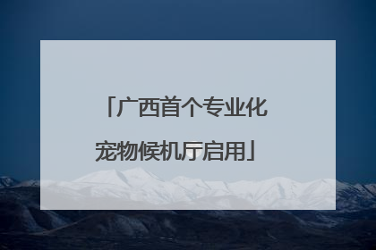 广西首个专业化宠物候机厅启用