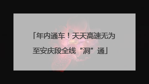 年内通车！天天高速无为至安庆段全线“洞”通
