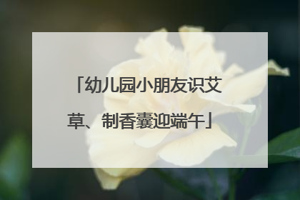 幼儿园小朋友识艾草、制香囊迎端午