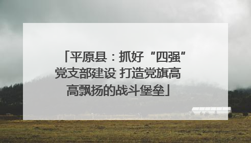 平原县：抓好“四强”党支部建设 打造党旗高高飘扬的战斗堡垒