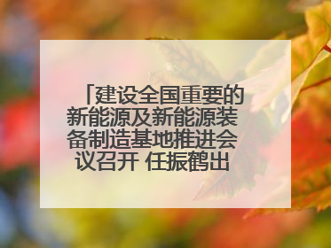 建设全国重要的新能源及新能源装备制造基地推进会议召开 任振鹤出席并讲话