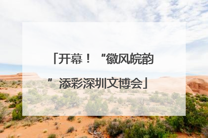 开幕！“徽风皖韵”添彩深圳文博会
