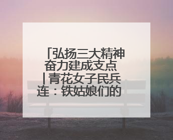 弘扬三大精神 奋力建成支点│青花女子民兵连：铁姑娘们的侠骨柔情