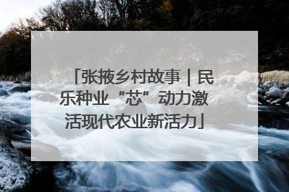 张掖乡村故事｜民乐种业“芯”动力激活现代农业新活力