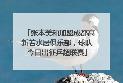 张本美和加盟成都高新若水居俱乐部，球队今日出征乒超联赛