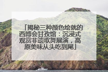 揭秘三种颜色绘就的西博会甘孜馆：沉浸式观赏非遗歌舞展演，高原美味从头吃到尾