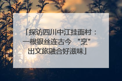 探访四川中江挂面村：一根银丝连古今 “烹”出文旅融合好滋味