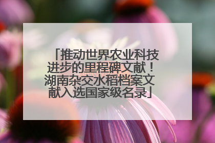 推动世界农业科技进步的里程碑文献！湖南杂交水稻档案文献入选国家级名录