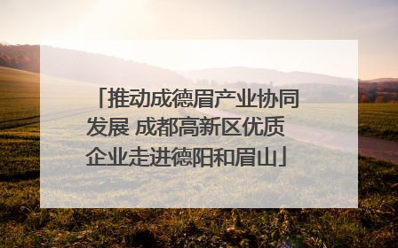 推动成德眉产业协同发展 成都高新区优质企业走进德阳和眉山