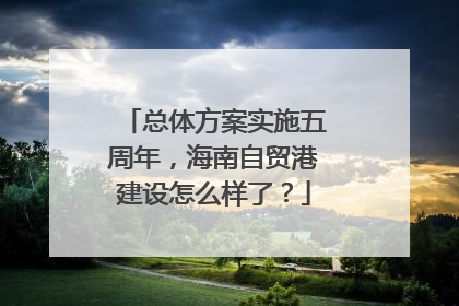 总体方案实施五周年，海南自贸港建设怎么样了？