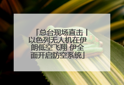 总台现场直击丨以色列无人机在伊朗低空飞翔 伊全面开启防空系统