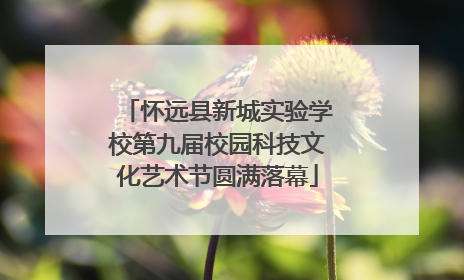 怀远县新城实验学校第九届校园科技文化艺术节圆满落幕
