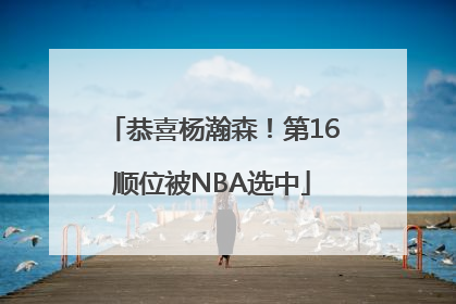 恭喜杨瀚森！第16顺位被NBA选中