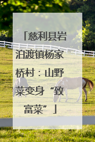 慈利县岩泊渡镇杨家桥村：山野菜变身“致富菜”