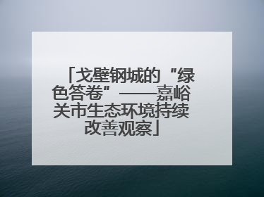 戈壁钢城的“绿色答卷”——嘉峪关市生态环境持续改善观察