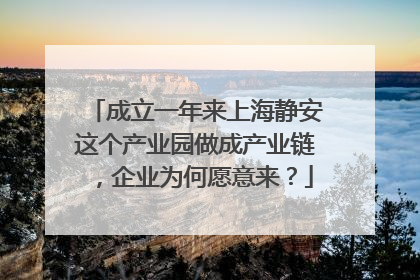 成立一年来上海静安这个产业园做成产业链，企业为何愿意来？