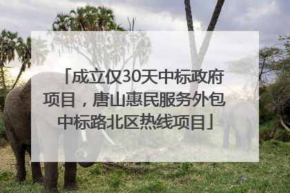 成立仅30天中标政府项目，唐山惠民服务外包中标路北区热线项目