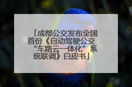 成都公交发布全国首份《自动驾驶公交“车路云一体化”系统联调》白皮书