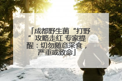 成都野生菌“打野”攻略走红 专家提醒：切勿随意采食，严重或致命