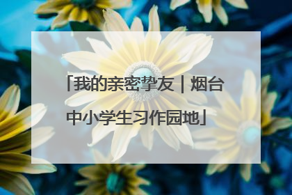 我的亲密挚友｜烟台中小学生习作园地