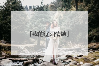我的辽阳情结