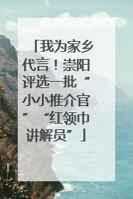 我为家乡代言！崇阳评选一批“小小推介官”“红领巾讲解员”