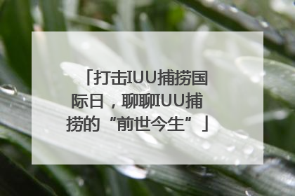 打击IUU捕捞国际日，聊聊IUU捕捞的“前世今生”