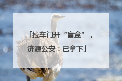 拉车门开“盲盒”，济源公安：已拿下
