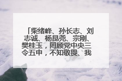 柴绪峰、孙长志、刘志诚、杨昆尧、宗刚、樊桂玉，罔顾党中央三令五申，不知敬畏、我行我素、肆意妄为！
