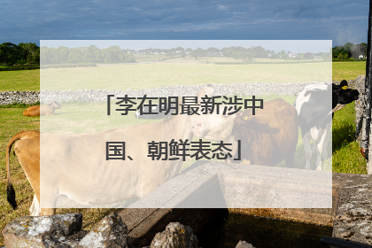 李在明最新涉中国、朝鲜表态