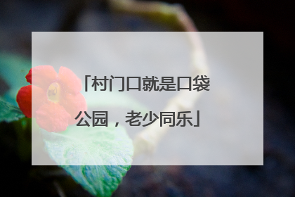 村门口就是口袋公园，老少同乐