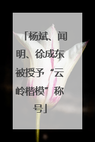 杨斌、闻明、徐成东被授予“云岭楷模”称号
