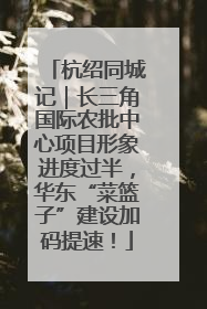 杭绍同城记｜长三角国际农批中心项目形象进度过半，华东“菜篮子”建设加码提速！