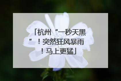 杭州“一秒天黑”！突然狂风暴雨！马上更猛