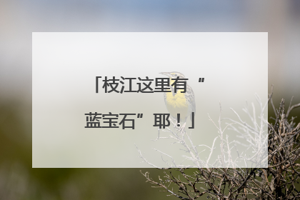 枝江这里有“蓝宝石”耶！