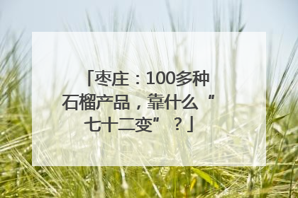枣庄：100多种石榴产品，靠什么“七十二变”？