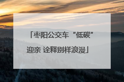 枣阳公交车“低碳”迎亲 诠释别样浪漫