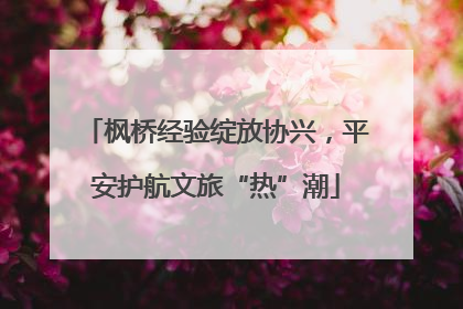 枫桥经验绽放协兴，平安护航文旅“热”潮