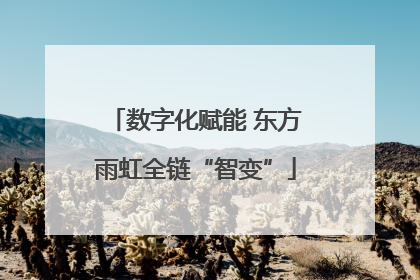 数字化赋能 东方雨虹全链“智变”
