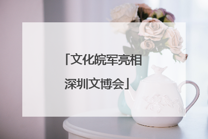 文化皖军亮相深圳文博会
