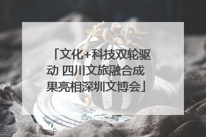 文化+科技双轮驱动 四川文旅融合成果亮相深圳文博会